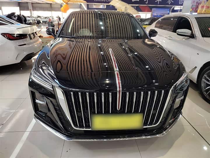 Фото 3 - Hongqi H5