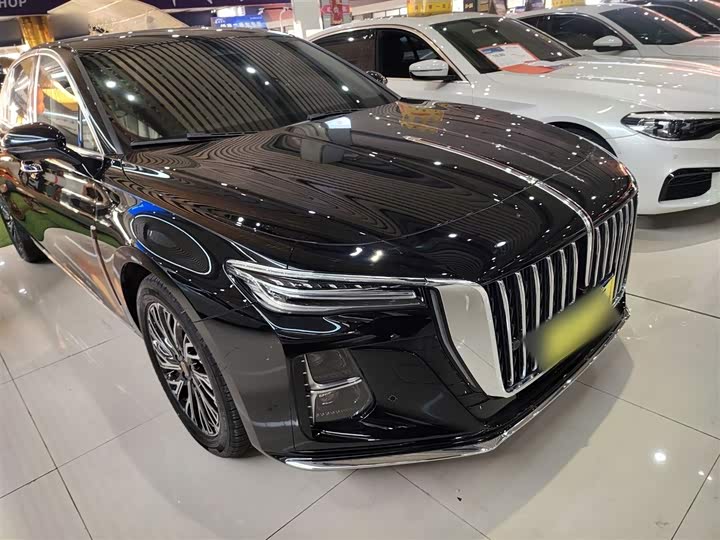 Фото 4 - Hongqi H5