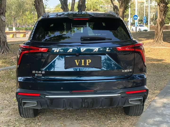 Фото 4 - Haval F7 (Monster)