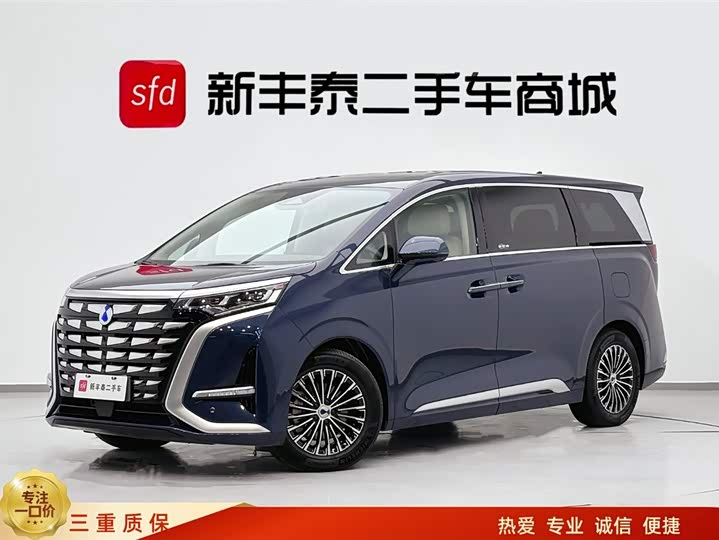 Фото 1 - Denza D9