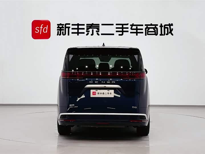 Фото 7 - Denza D9