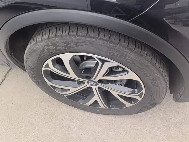 Фото 6 - BYD Tang Hybrid/EV