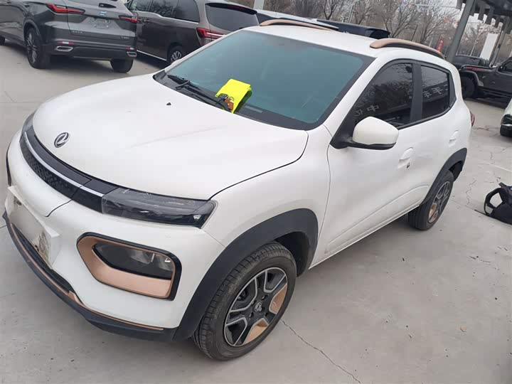 Фото 5 - Dongfeng Nammi Nano EX1 Pro