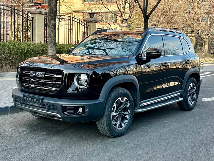 Фото 1 - Haval Dargo