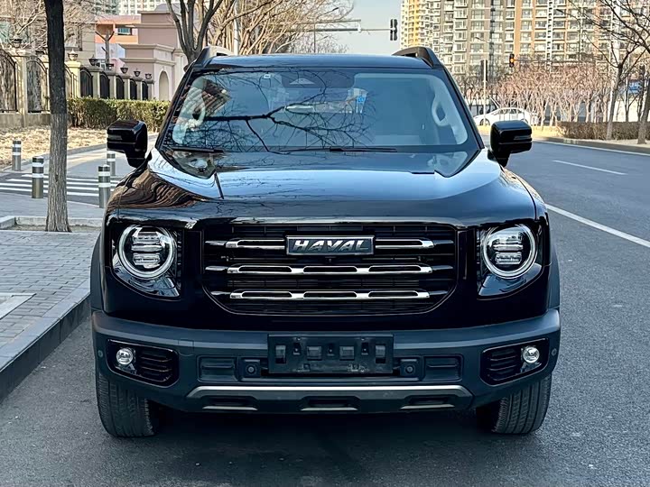 Фото 2 - Haval Dargo
