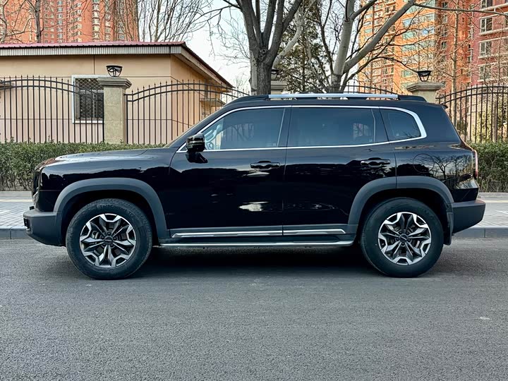 Фото 3 - Haval Dargo