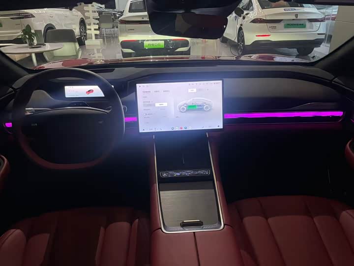 Фото 4 - Exeed Sterra ES