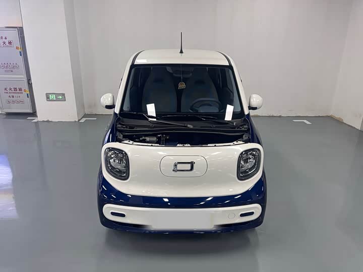 Фото 9 - Bestune Pony