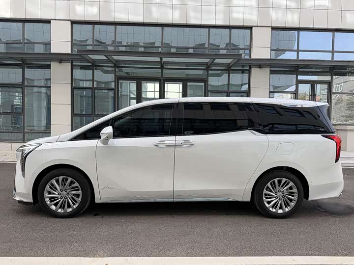 Фото 5 - Buick GL8 Century