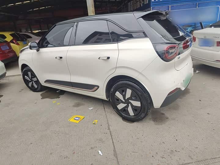 Фото 5 - Dongfeng Nammi 01