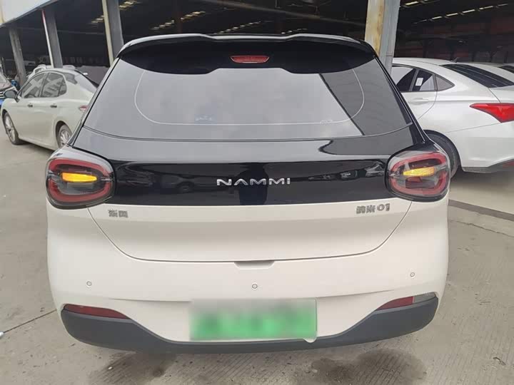 Фото 6 - Dongfeng Nammi 01