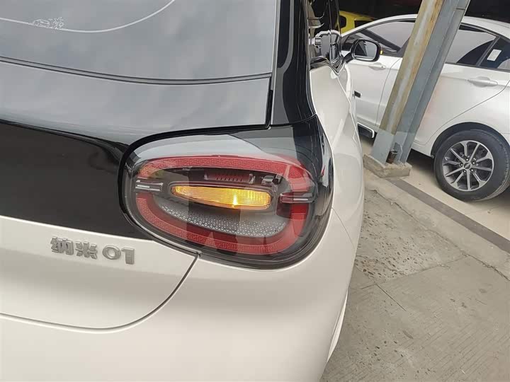 Фото 8 - Dongfeng Nammi 01