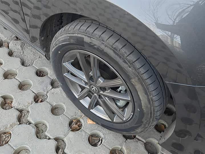 Фото 6 - Changan Raeton Plus