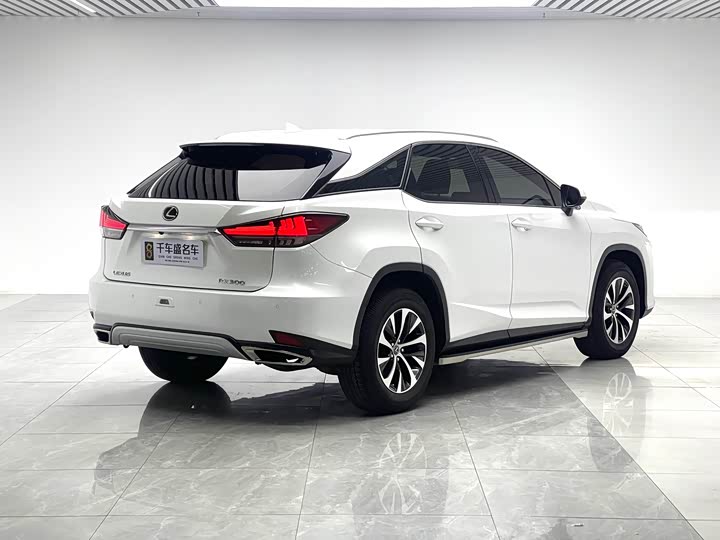 Фото 6 - Lexus RX
