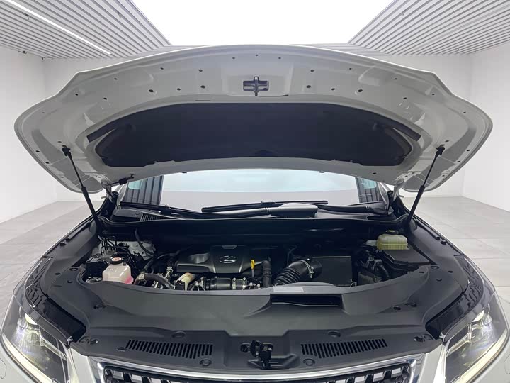 Фото 9 - Lexus RX