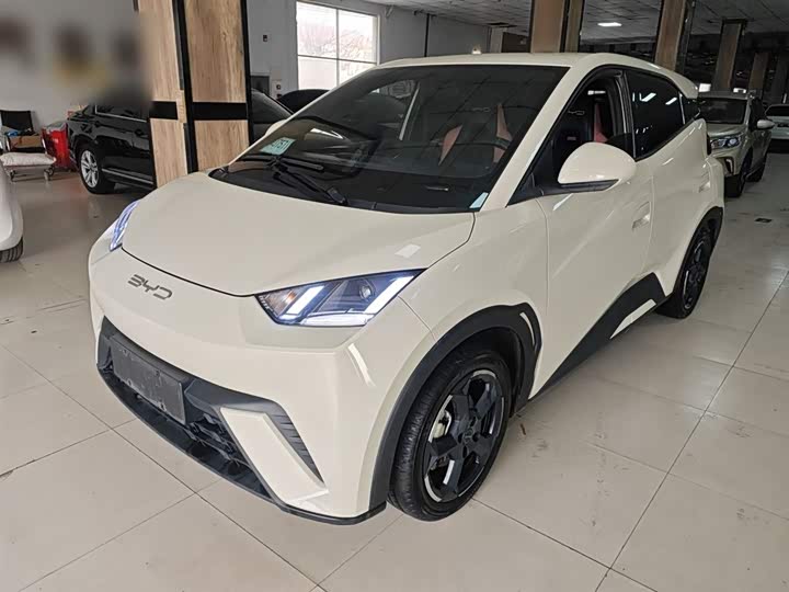 Фото 1 - BYD Seagull