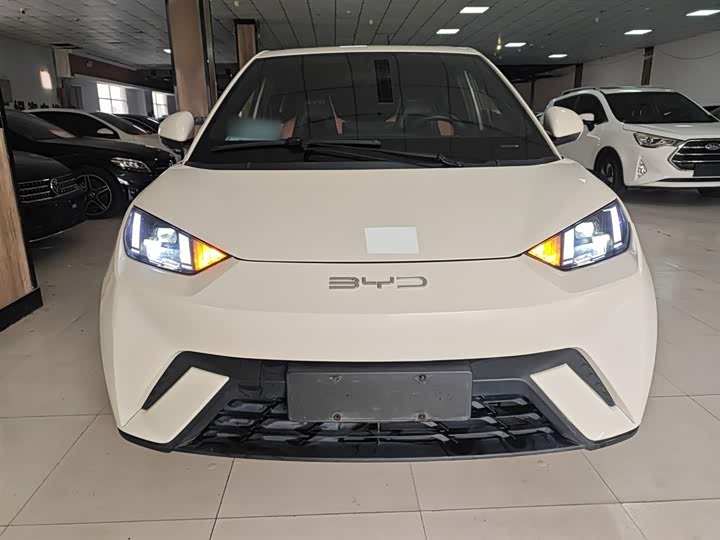 Фото 3 - BYD Seagull