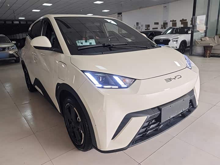 Фото 4 - BYD Seagull