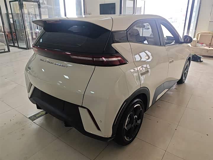 Фото 7 - BYD Seagull