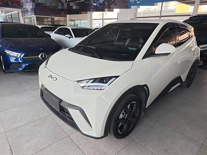 Фото 1 - BYD Seagull