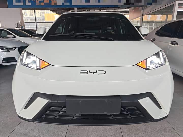 Фото 3 - BYD Seagull