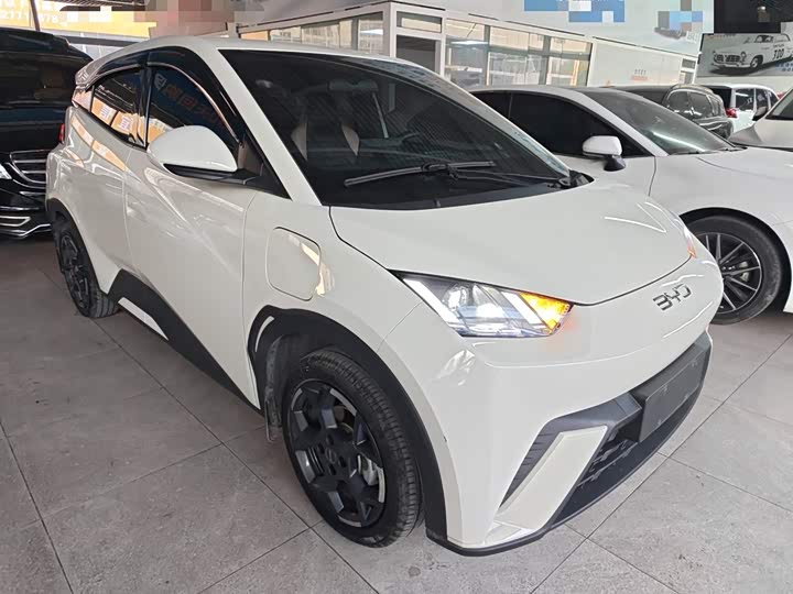 Фото 4 - BYD Seagull