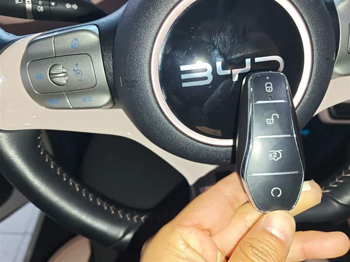 Фото 9 - BYD Seagull