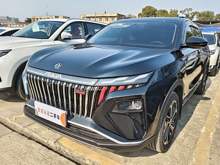 Фото 1 - Dongfeng Aeolus Haoji