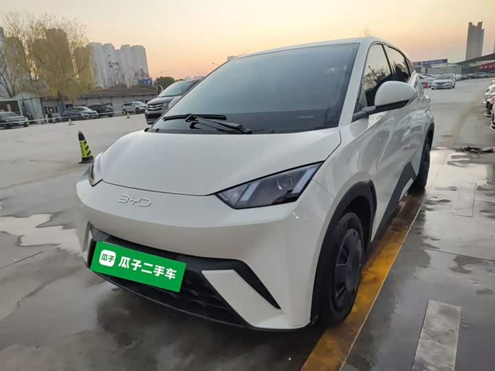 Фото 2 - BYD Seagull