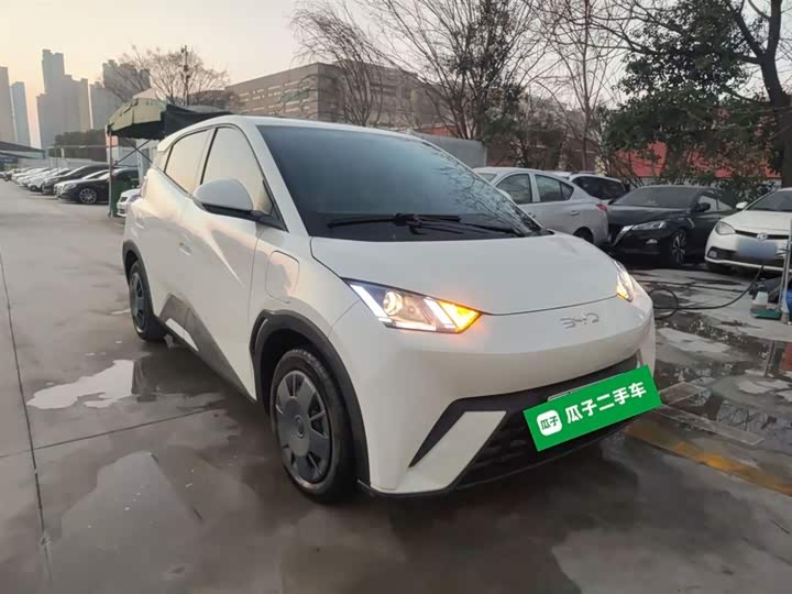 Фото 4 - BYD Seagull