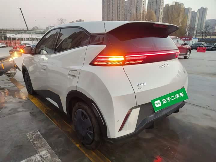 Фото 5 - BYD Seagull