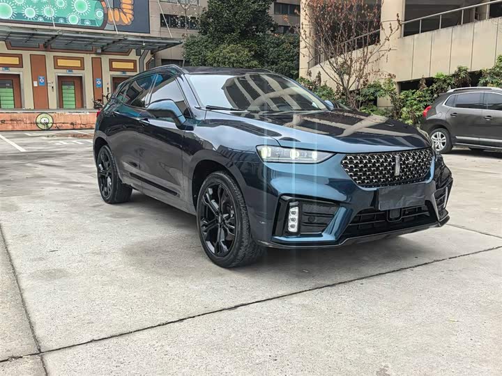 Фото 3 - Wey VV7