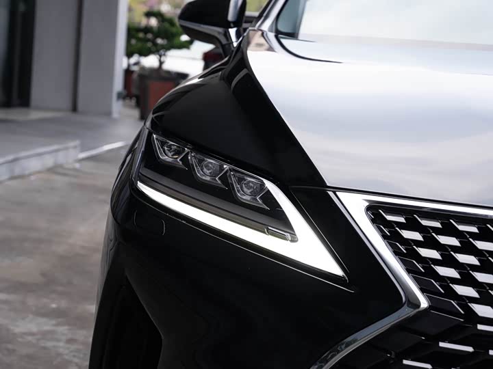 Фото 6 - Lexus RX