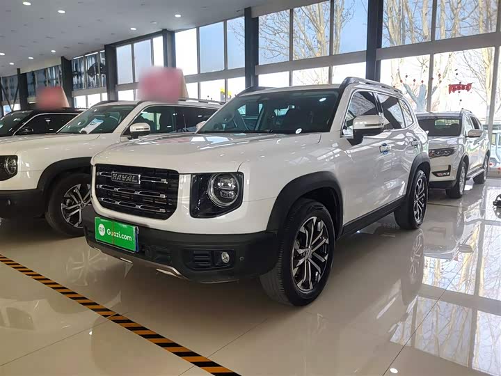 Фото 2 - Haval Dargo