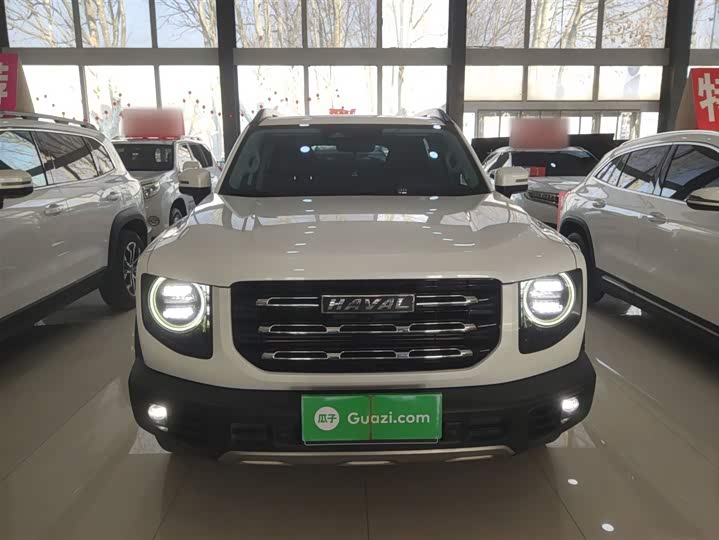 Фото 3 - Haval Dargo