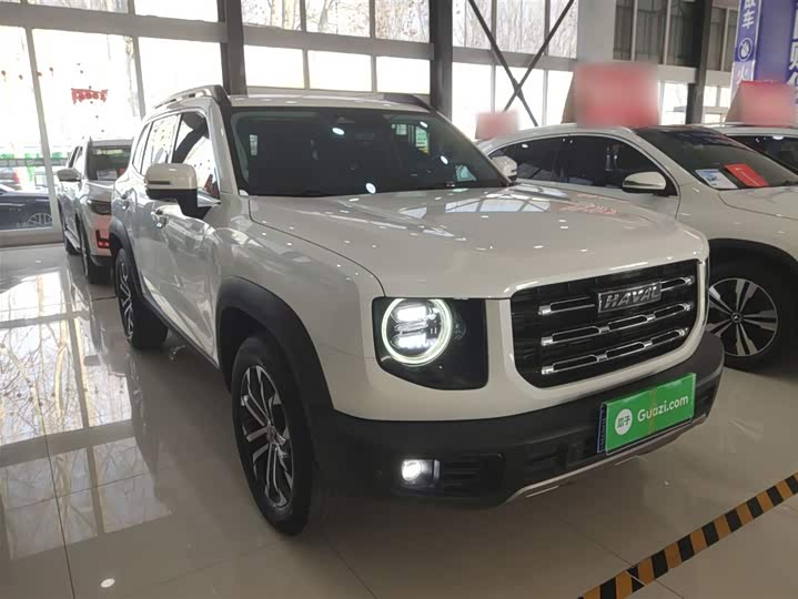 Фото 4 - Haval Dargo