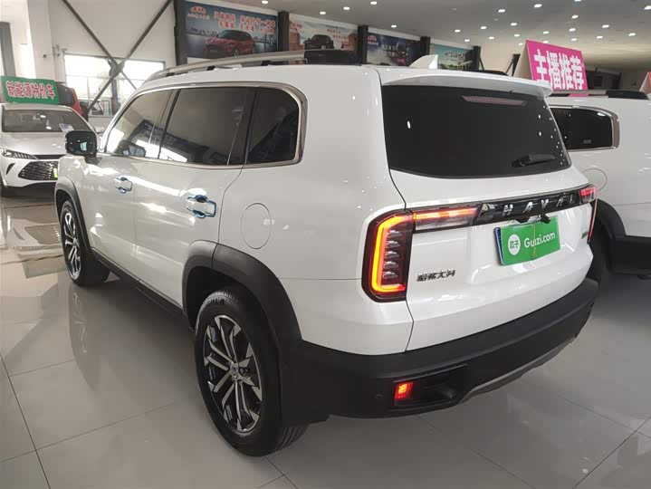 Фото 5 - Haval Dargo