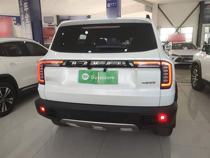 Фото 6 - Haval Dargo