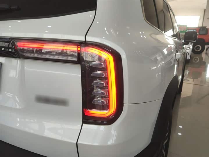 Фото 8 - Haval Dargo