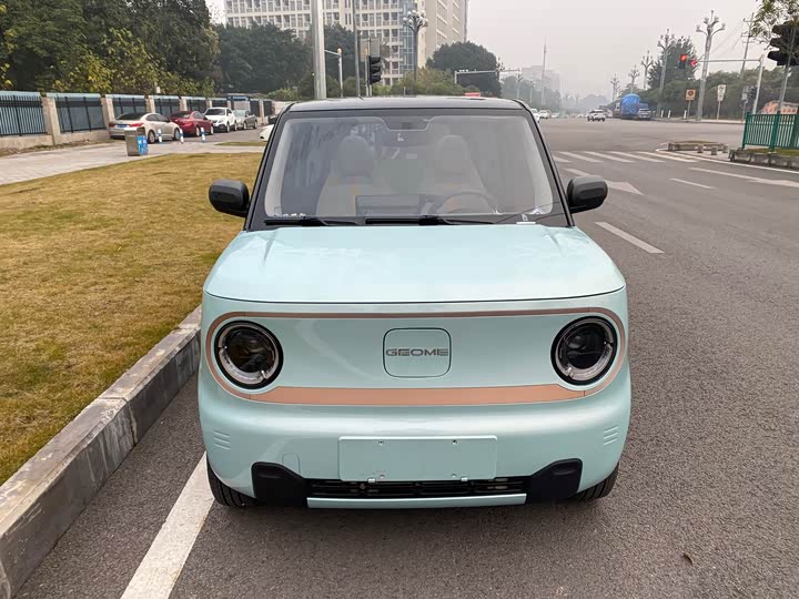 Фото 2 - Geely Galaxy Panda Mini