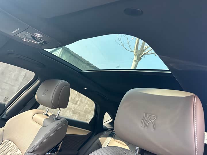 Фото 9 - BYD Han