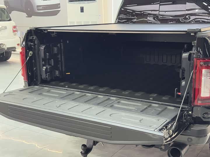 Фото 8 - Ford F-150 Raptor