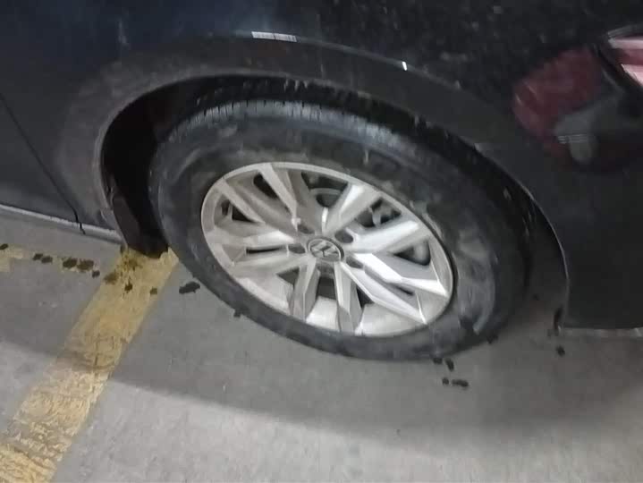 Фото 6 - Volkswagen Magotan