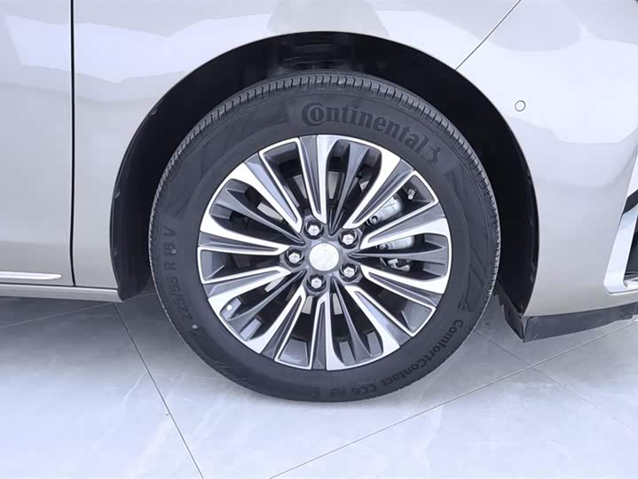 Фото 6 - Buick GL8 ES