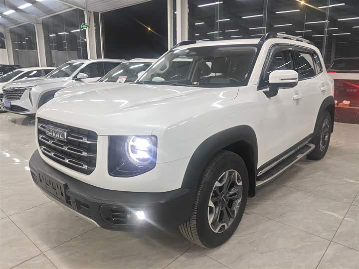 Фото 2 - Haval Dargo