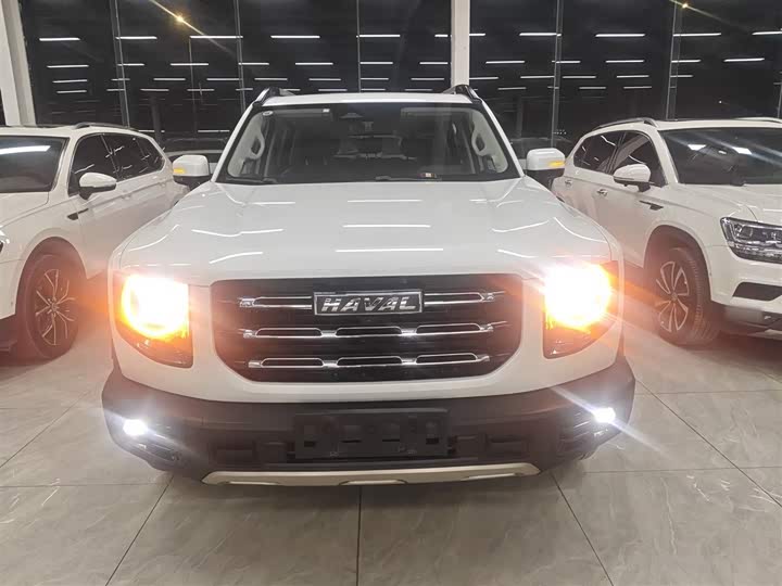 Фото 3 - Haval Dargo