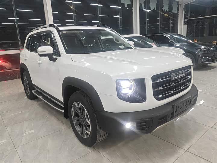 Фото 4 - Haval Dargo