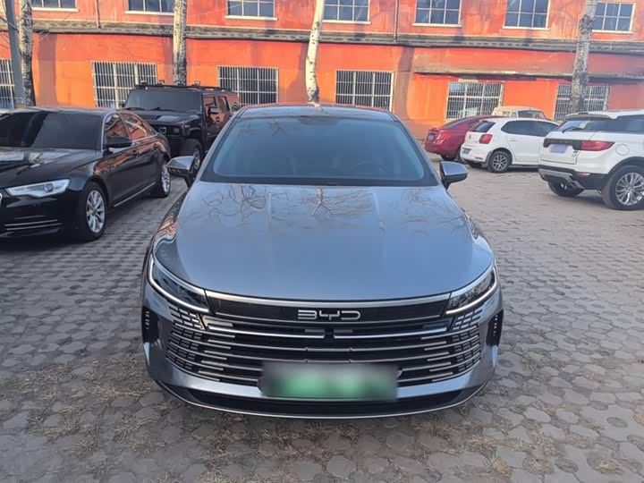 Фото 3 - BYD Destroyer 05