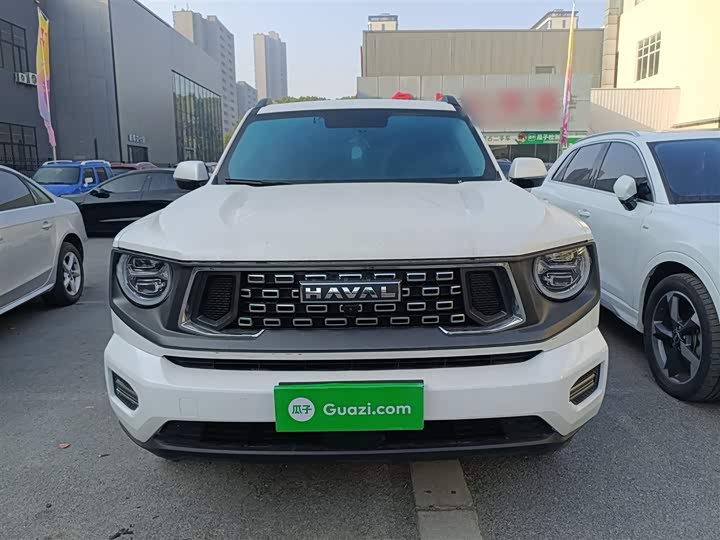 Фото 3 - Haval H-Dog