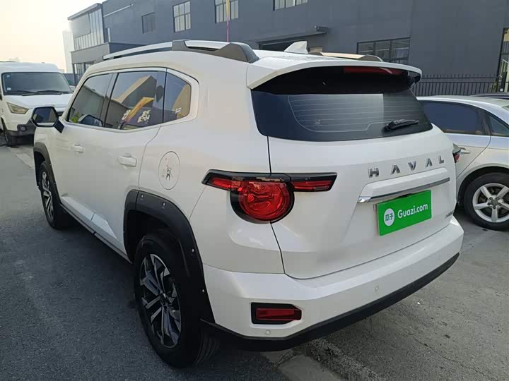 Фото 5 - Haval H-Dog